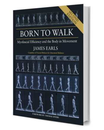 Born To Walk: Myofascial Efficiency And The Body In Movement