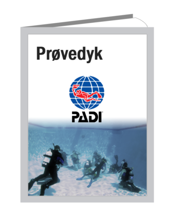 Padi Prøvedyk   Pool