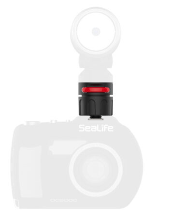 Sealife Cold Shoe