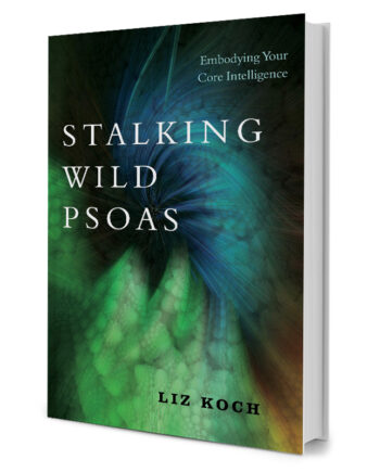 Stalking Wild Psoas Embodying Your Core Intelligence